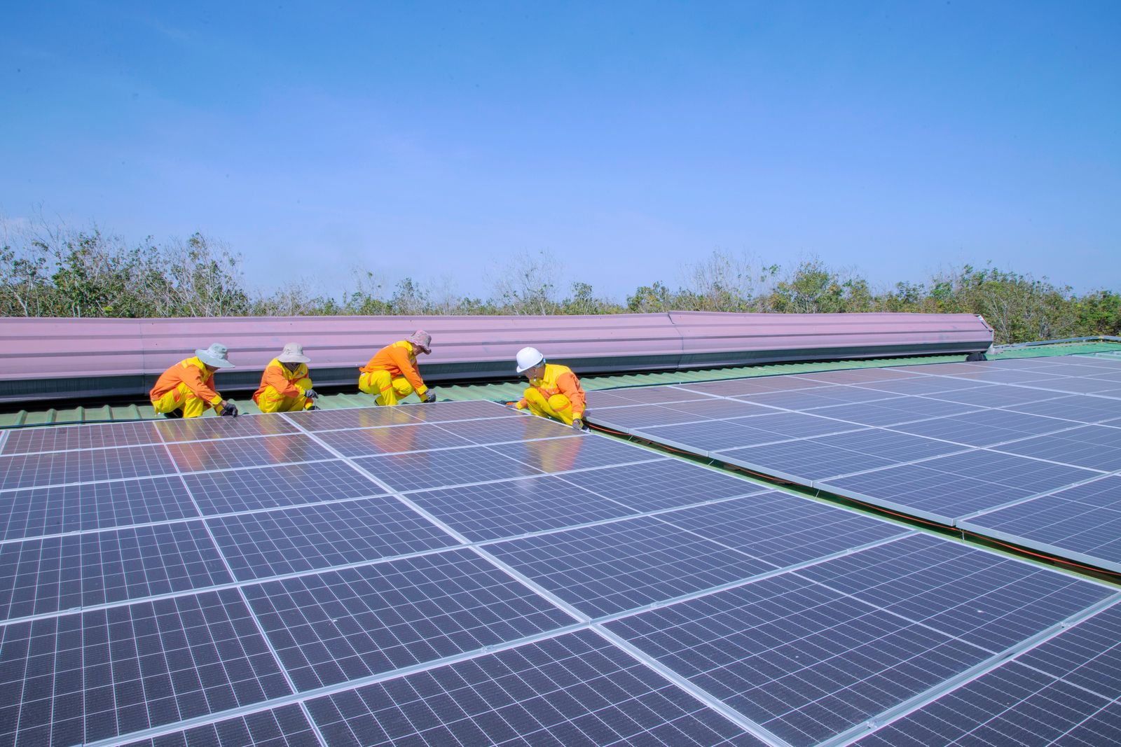 Solar panels installed under a clear sky